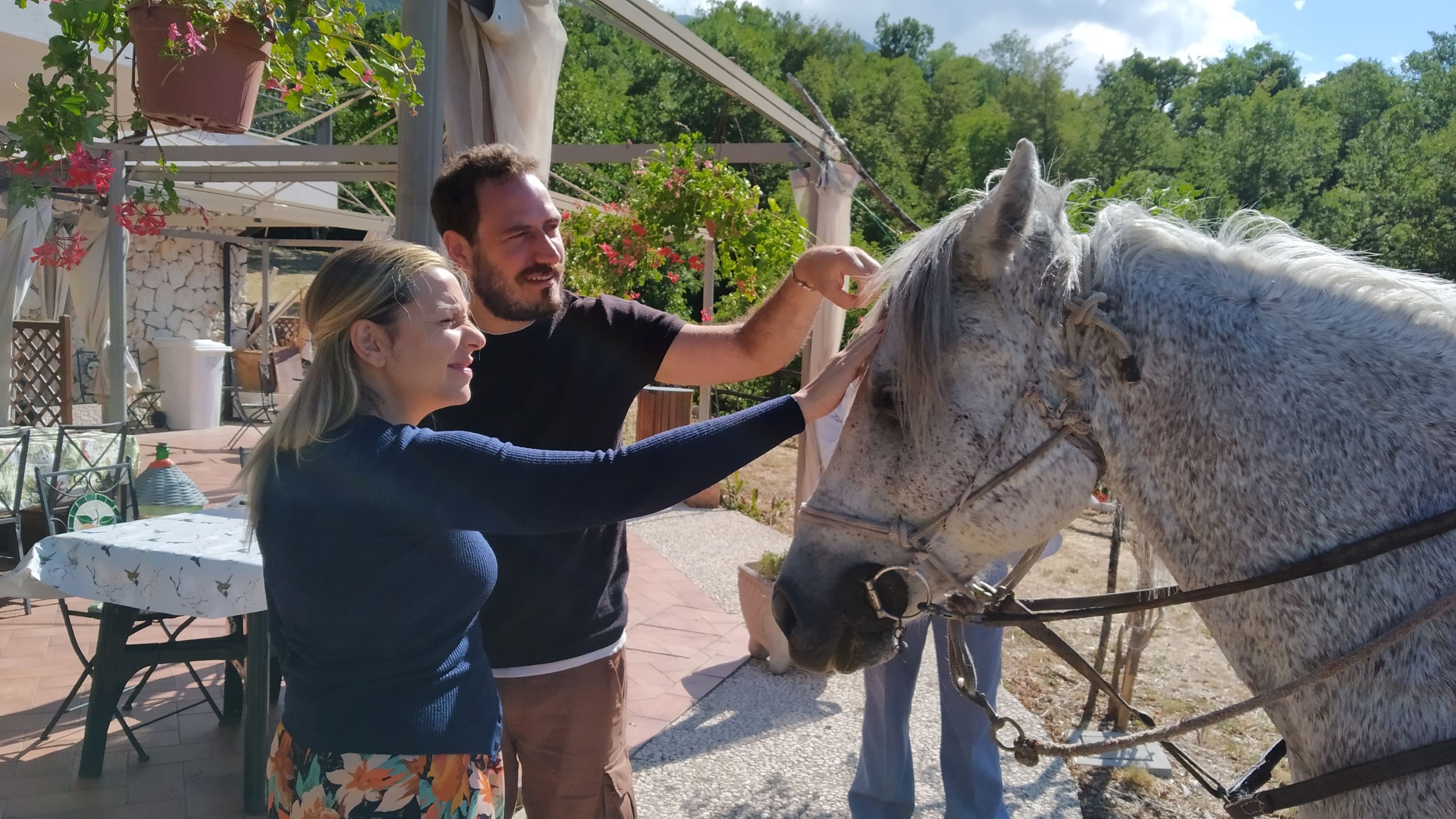 La Magia dell'Equitazione: Un Viaggio nel Mondo dei Cavalli e della Natura